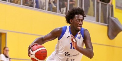 Hanáky čeká cesta do sršního hnízda